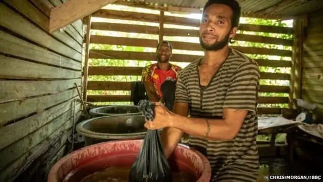 कावा ड्रिंक