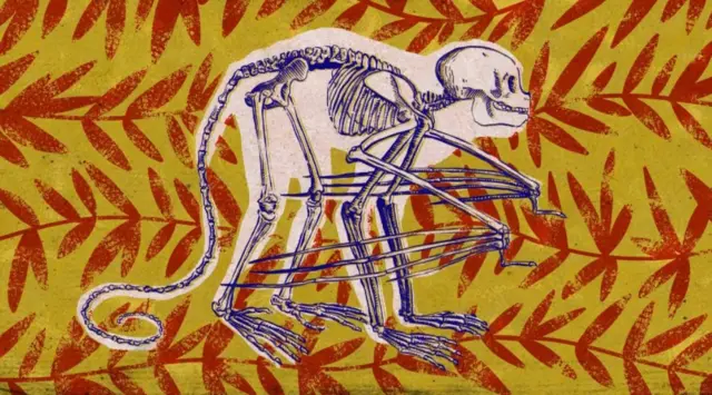 Bića koja trenutno obitavaju na stablima bi mogla da se adaptiraju na vazduh u dalekoj budućnosti