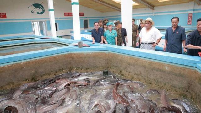 Kim Jong-un looks at fish at the Samchon catfish farm
