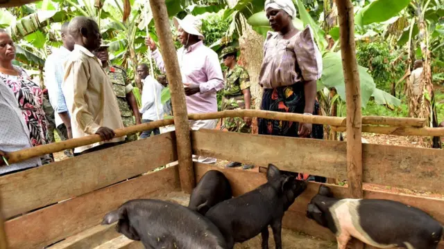 Beeralyda ayuu xog wareystay.