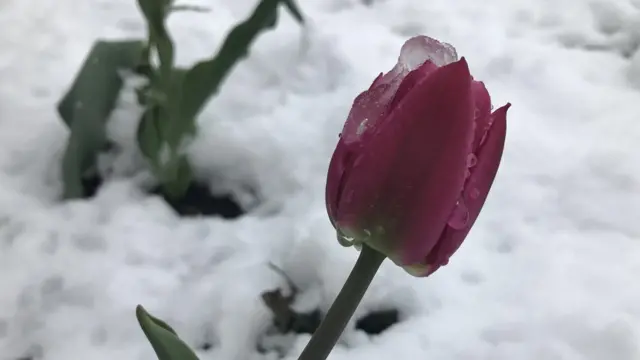 Дніпропетровська область