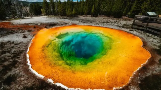 قدرت کے کرشمے: یلو سٹون نیشنل پارک کا دلکش نظارہ