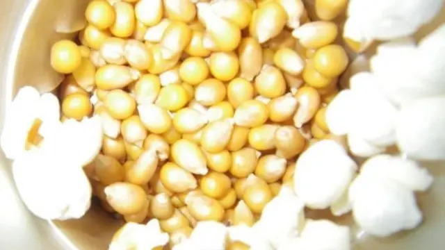 पॉपकॉर्न