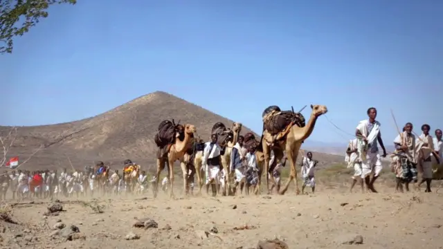 ከረዩ ግመሎም ሒዞም እንትጓዓዙ