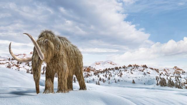 Ilustración de un mamut lanudo caminando en la nieve.