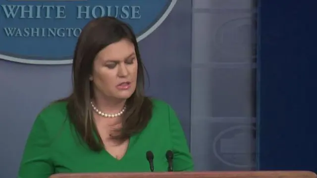 स्यारा स्यान्डर्स