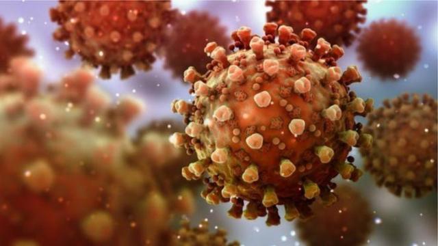 T細胞（T-cells)與抗體不同，它可以發現那些被感染的細胞。