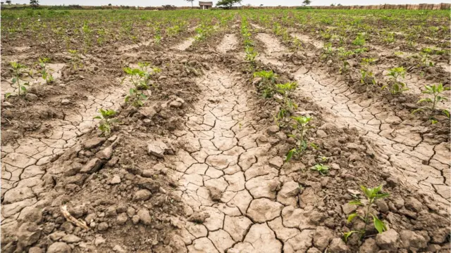 નવી શરતની જમીન જૂની શરતની જમીનમાં કેવી રીતે રૂપાંતરિત થાય?