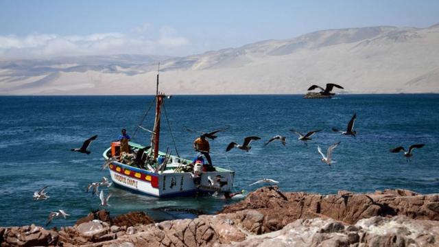 Pescadores en una balsa en Pisco