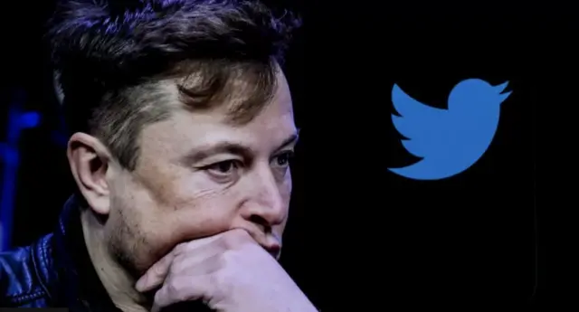 Twitter logosu ve Musk