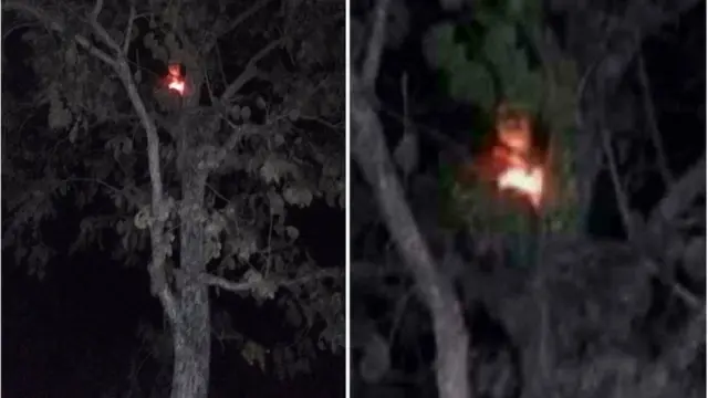 เปรียบเทียบภาพ