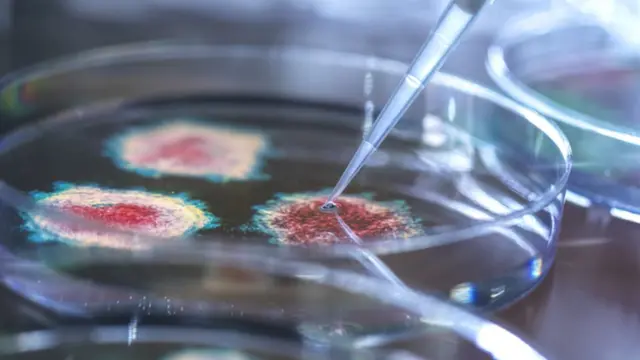 மருத்துவ ஆராய்ச்சி கோப்புப் படம்