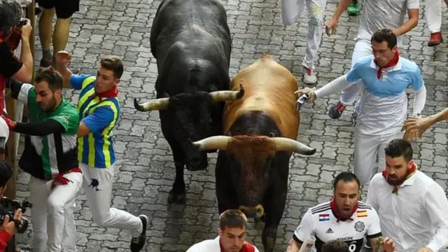 مطاردة الثيران