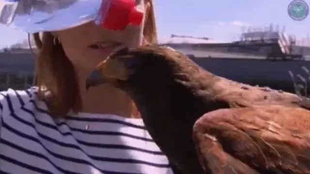 コートの鳩よけのため、大会公式パトール犬ならぬ鷹（モモアカノスリ）のルーファスが暑さのため水あびをさせてもらった