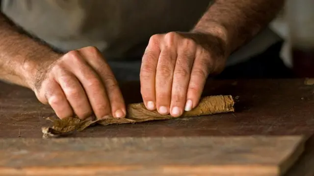 Сигары Робайны - одни из лучших в мире