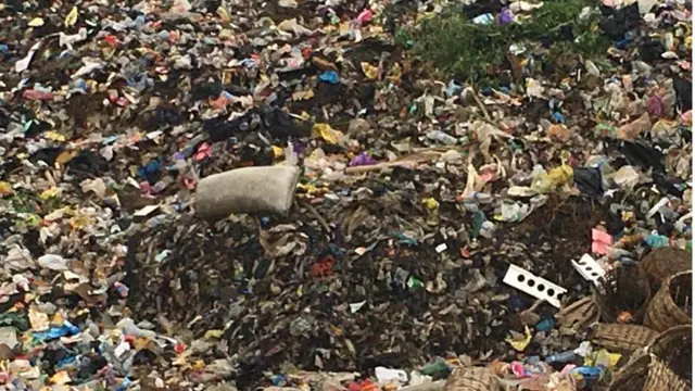 World Environmental day