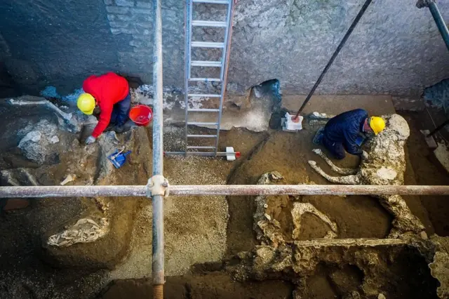 Horse discovery in Pompeii