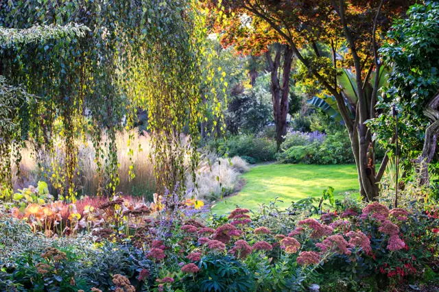 Towards the Clearing by Rosanna Castrini