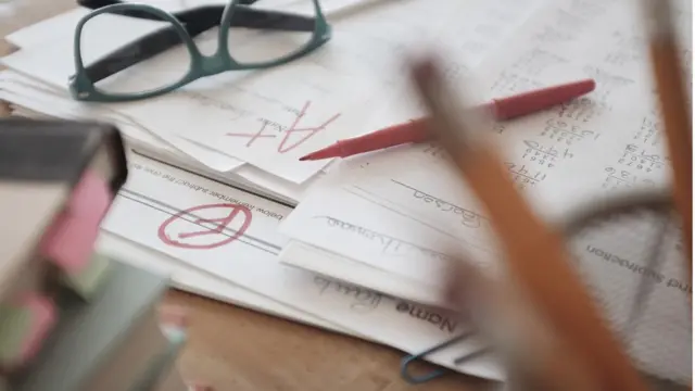 যোগ্যতার ভিত্তিতেই বাংলাদেশিদের নিয়োগ দেয়া হচ্ছে।