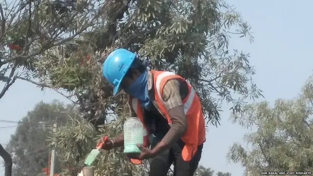 ਦਰਖ਼ਤਾਂ ਦਾ ਟਰਾਂਸਪਲਾਂਟ