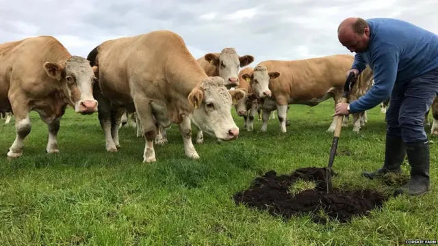 इयन ग्रीन