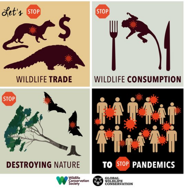 The Wildlife Conservation Society is calling for a ban on wildlife consumption