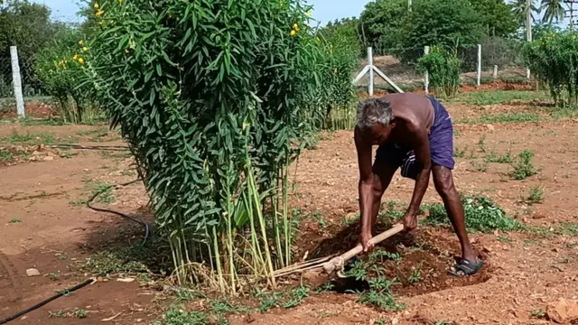 லோகநாதன்