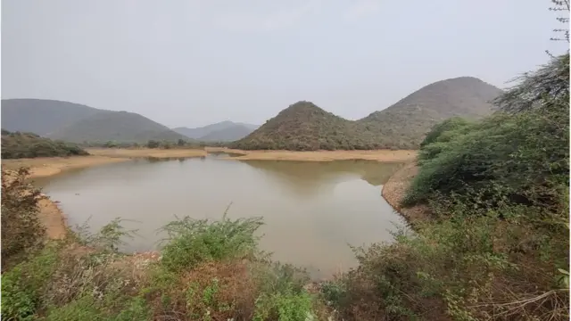 విశాఖపట్నం: మహానగరం మధ్యలో అభయారణ్యం