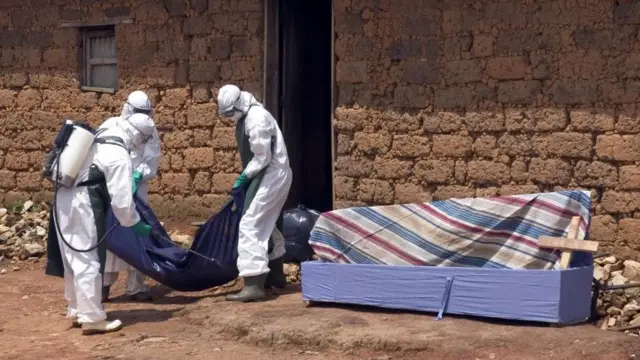 ไวรัสมาร์เบิร์ค