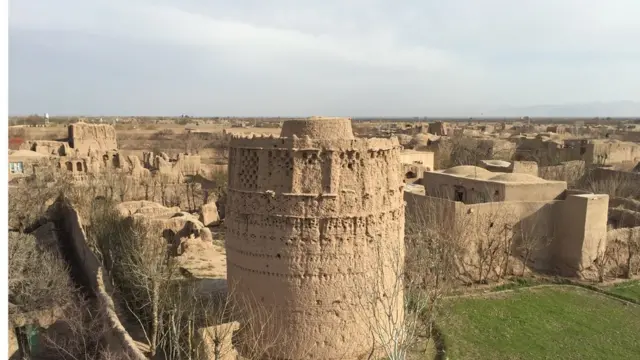 په ځینو پخوانیو ودانیو کې د مرغانو پالنې لپاره ځانګړي ځایونه چمتو کېدل