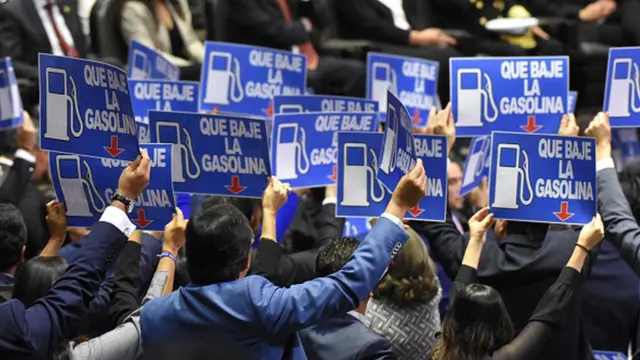 Diputados con pancartas