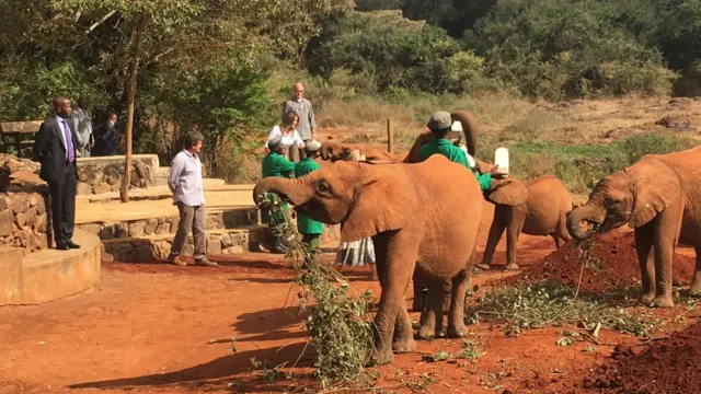 ndani ya mbuga ya wanyama Kenya