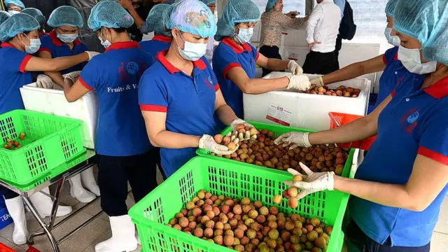 Việt Nam