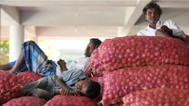 कृषि पैदावार