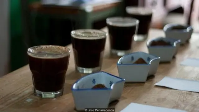 ਕੋਲੰਬੀਆ 'ਚ ਕੌਫ਼ੀ ਦੇ ਪੌਦਿਆਂ ਨੂੰ ਇਹ ਬਿਮਾਰੀ ਲੱਗ ਰਹੀ ਹੈ