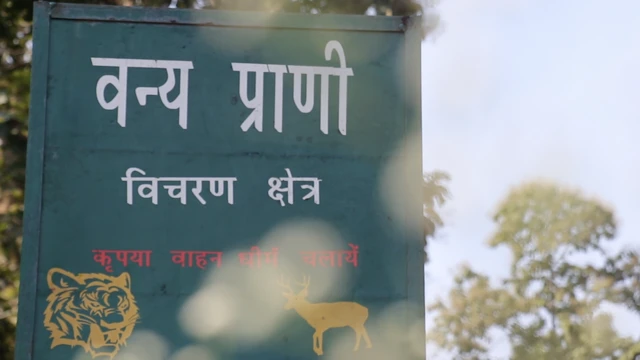 बक्सवाहा का जंगल