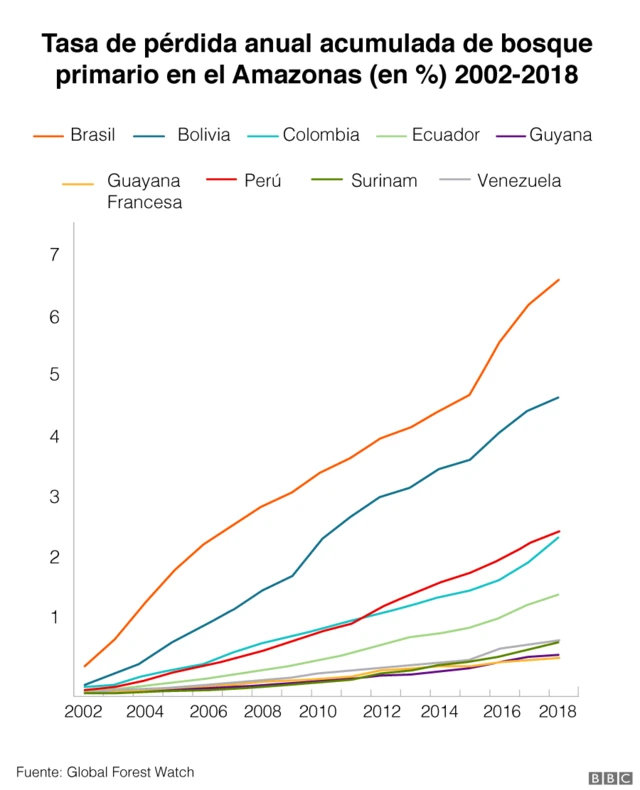 Deforestacion en America Latina