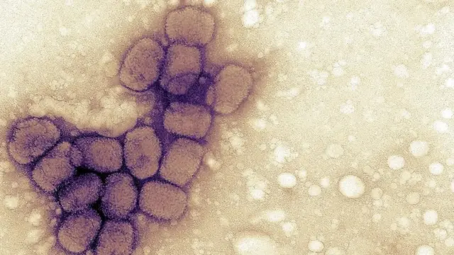 التجربة المرعبة التي أدت إلى تطوير أول لقاح في العالم