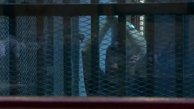 Mursiin dhaddacharratti