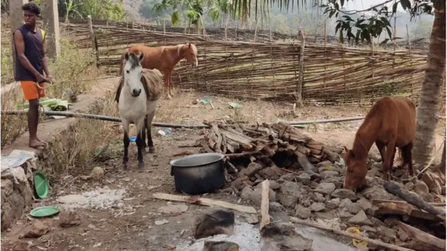 దాయర్తి