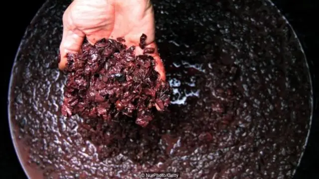 用李子釀造的萊吉亞在塞爾維亞尤其受歡迎