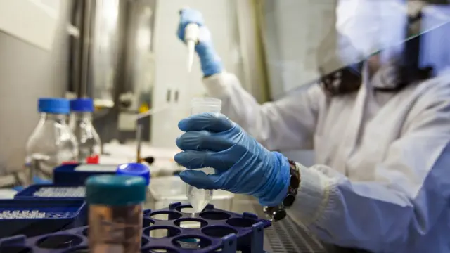 डीएनए सैम्पल जांच