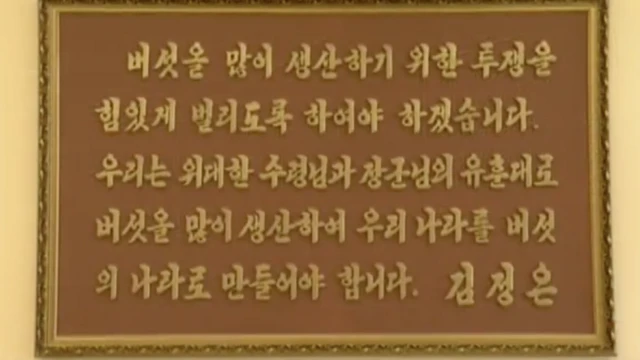 평양버섯공장에 새겨져 있는 김정은 위원장의 버섯 관련 어록