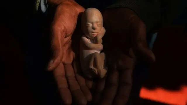 Sri Lankan Abortion Law