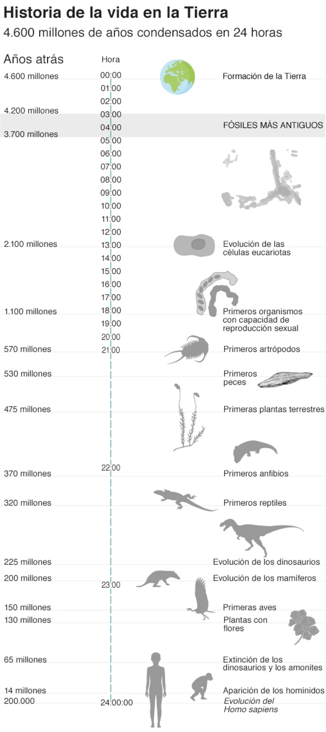 Gráfico que resume la historia de la vida en la tierra