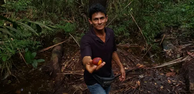 O ribeirinho José Camilo da Silva mostra um buriti