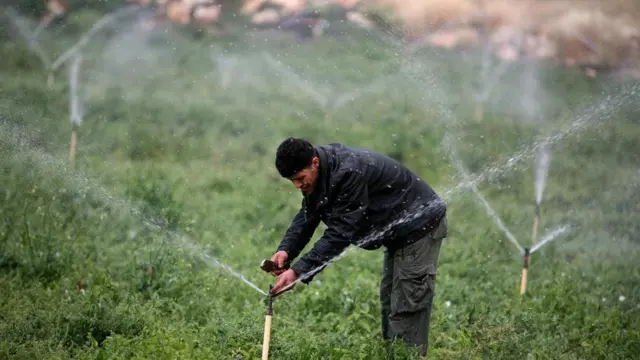 مزارع يروي الحقل من خلال رشاشات المياه الحديثة