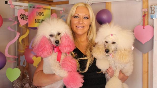 Extreme dog grooming: Harmless fun or threat to pets? - BBC News