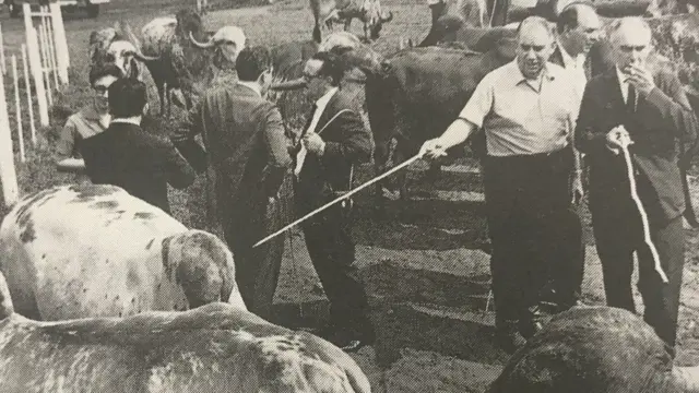 ક્રિષ્ના સાંઢની બ્રાઝિલની જુની યાદગીરી