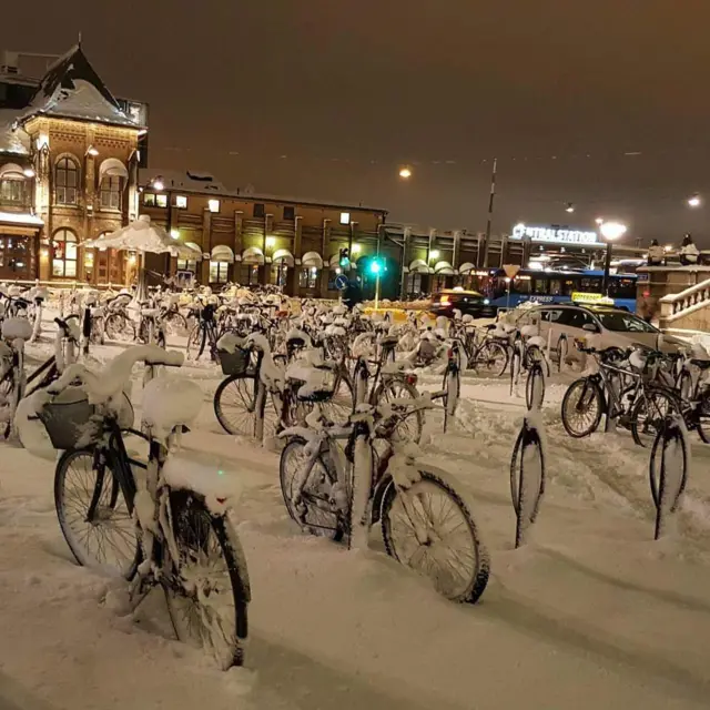 "Спорт зимой"